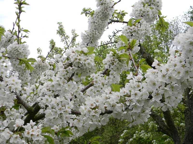 DSCN9814