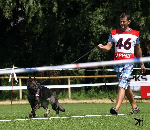 P9oLR8X-DIkj5DJkldH86EGzwWW8pA4xvUzQUIRcEA2phS3XKrTkI4Q7Tr2Qx1pJrVNm1Zs
